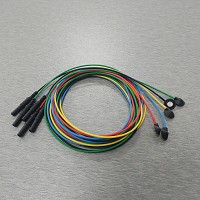 Electrode set with 5 sintered silver/silver chloride electrodes 